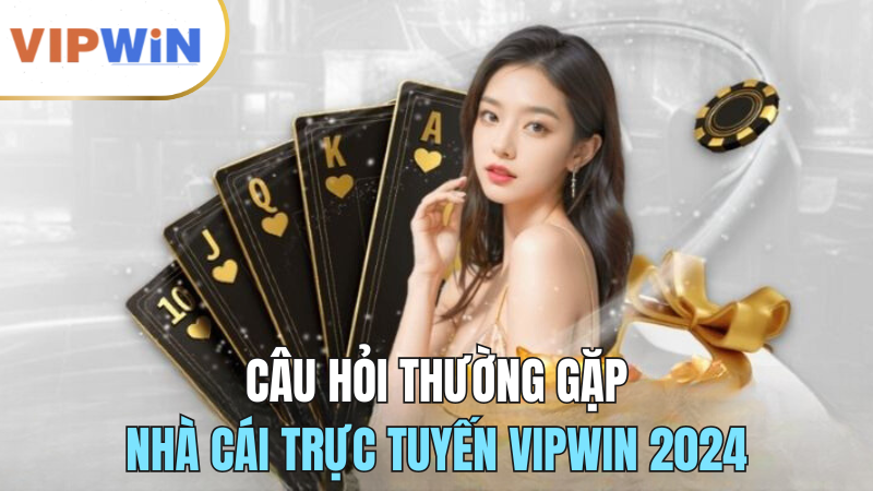 cau-hoi-thuong-gap-vipwin-2024